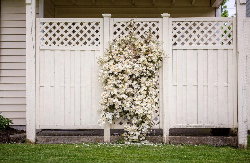 Porównanie materiałów na ogrodzenia – zalety i wady drewna, metalu i kompozytu