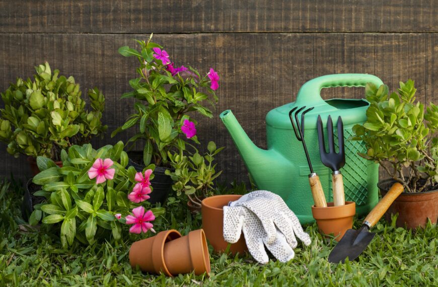 Jak pielęgnować sadzonki warzyw po posadzeniu?