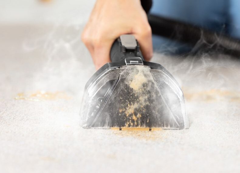 Walka z sierścią zwierząt w domu