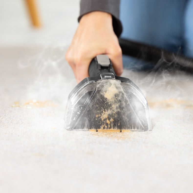 Walka z sierścią zwierząt w domu