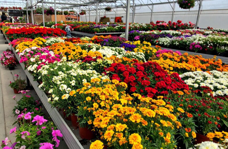 Najlepszy ogrodniczy sklep online - Przewodnik po zakupach w 2025 roku