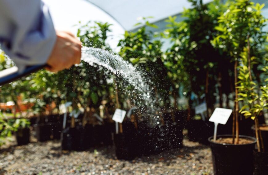 Podlewanie drzew – dlaczego to&hellip;