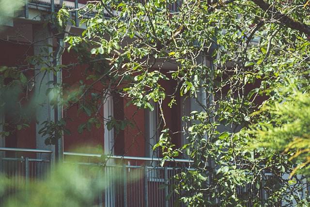 Projektowanie ogrodu – jak wybrać odpowiedni rodzaj przydomowej przestrzeni?