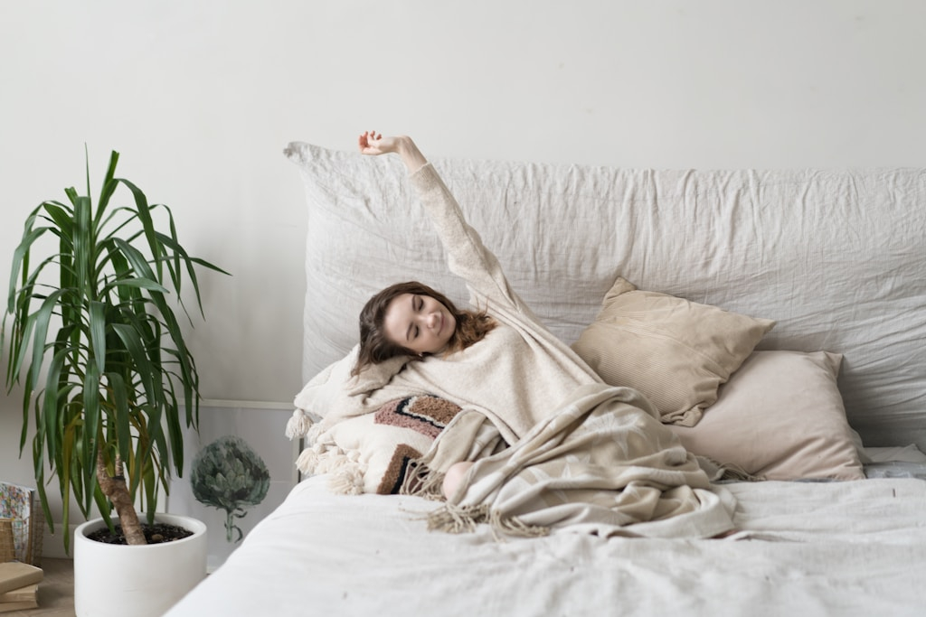 Solidne podstawy komfortu – ogrzewanie i klimatyzacja w projektowaniu wymarzonego M2